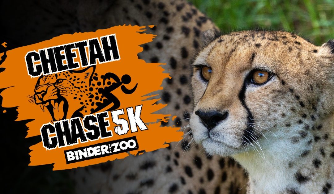 Cheetah Chase 5K
