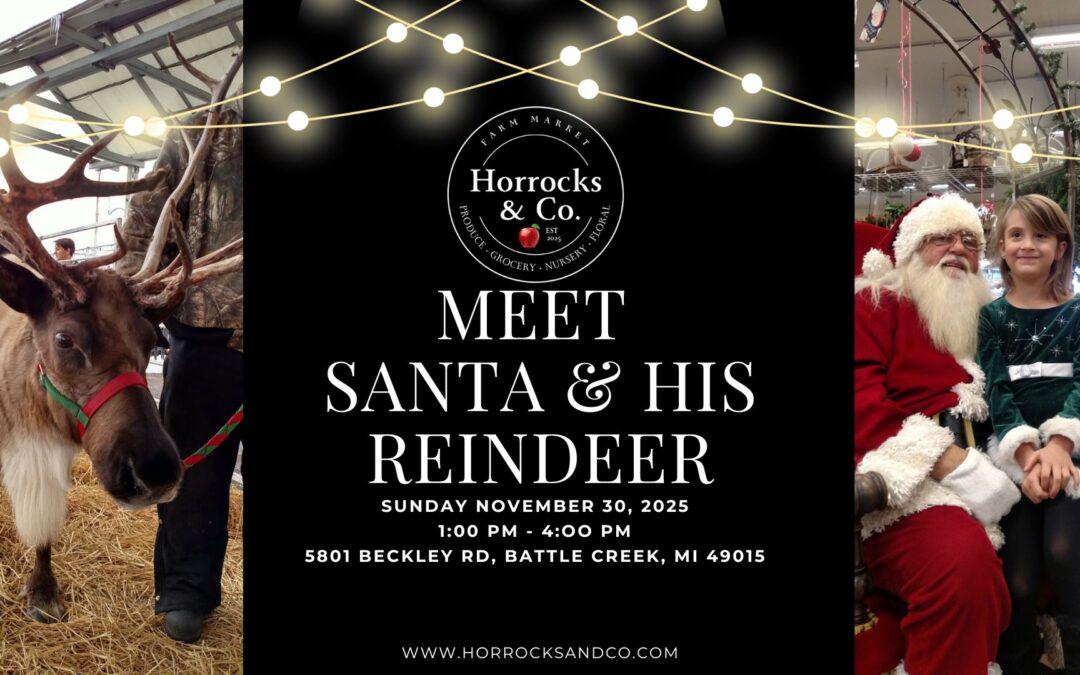Meet Santa & His Reindeer @ Horrocks